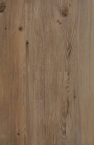 Decoria DW 1351 Сосна ГарДа