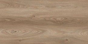 Floorwood Дуб Каньон Касл Светлый GDN 1004-01
