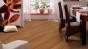 Ламинат Haro 526934 Афромозия