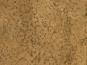 Пробковый пол Ibercork F1060 Саламанка UCWT