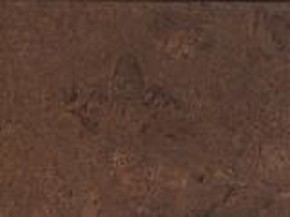 Пробковый пол Ibercork F2069 Леон Маррон UCWT