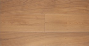 Progress Сен-Бернар 1029