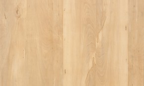 Progress Apple Tree 242 (2 mm)
