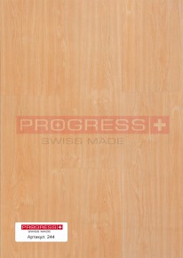 Progress Beech 244 (10 mm)