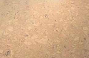Пробковый пол Wicanders Champagne P905003