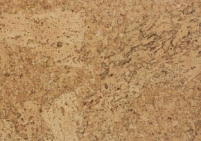 Wicanders Accent DN17002