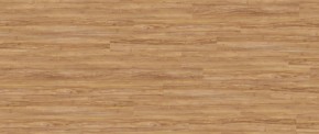 Виниловый пол Wineo Honey Warm Maple DB0008