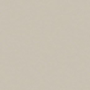 Виниловый пол Wineo Natural Concrete DBE2038NO